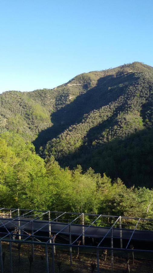 Nostro Rifugio Villa Apricale Luaran gambar