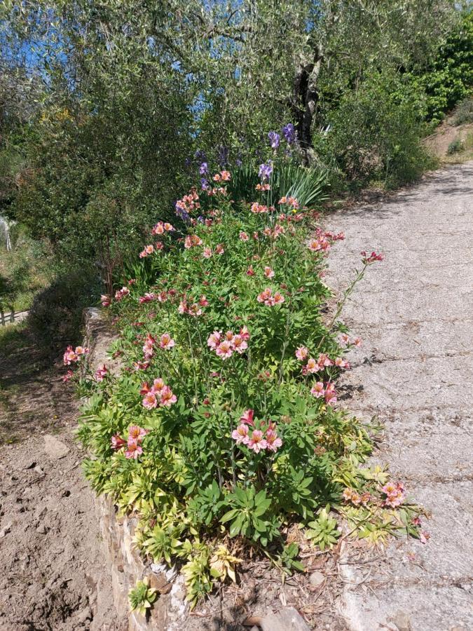 Nostro Rifugio Villa Apricale Luaran gambar