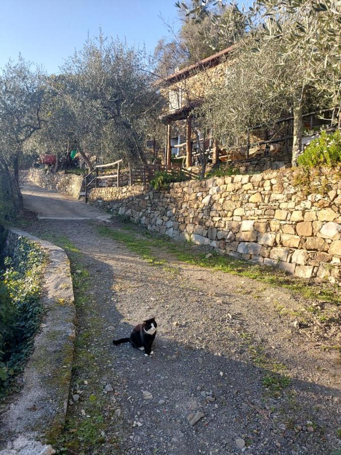 Nostro Rifugio Villa Apricale Luaran gambar